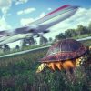 A Turtle to Be Blamed for Delaying Flight