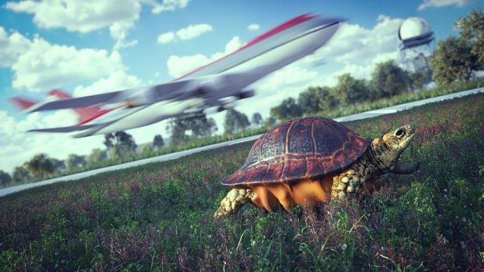 A Turtle to Be Blamed for Delaying Flight