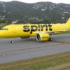 Bat causes stir on Spirit Airlines flight