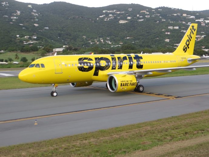 Bat causes stir on Spirit Airlines flight