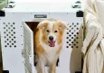 How to Choose the Best Dog Crates for Travel: A Comprehensive Guide