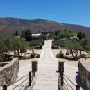 Uncork Baja’s Bounty: All-Inclusive Valle de Guadalupe Wine Tour with Baja Society Tours