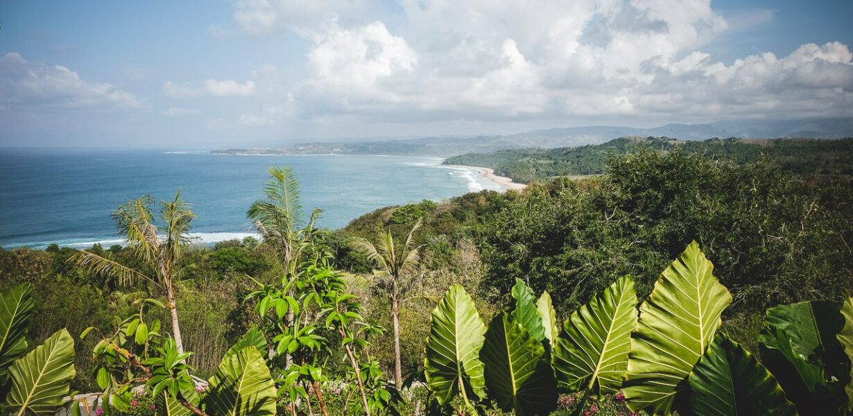 Sumba’s Street Food for the First-Time Visitor