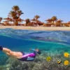 Marsa Alam or Hurghada? Why Serious Divers Always Choose the South