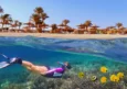 Marsa Alam or Hurghada? Why Serious Divers Always Choose the South