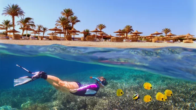 Marsa Alam or Hurghada? Why Serious Divers Always Choose the South