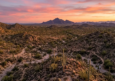 Flying into Scottsdale: A Practical Guide to Neighborhoods, Weather Windows, and Getting Around