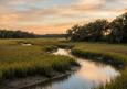 A Practical Guide to Kiawah Island: Trails, Marshes, and Coastal Activities Worth Planning